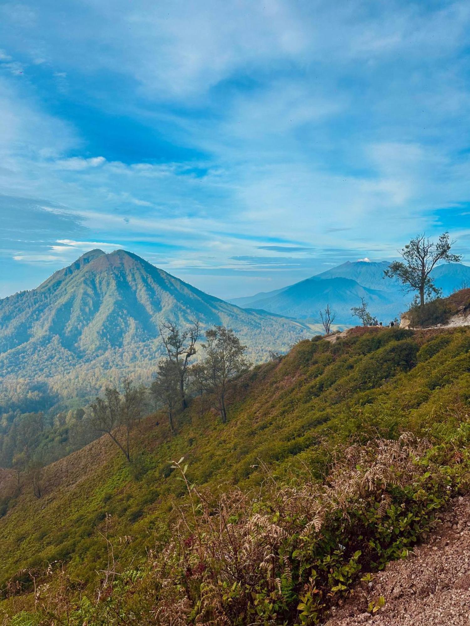 הוסטל בניוואנגי Ijen Backpacker מראה חיצוני תמונה
